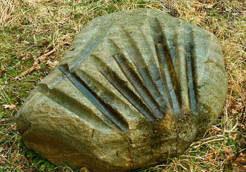 Grooved stone from Gotland. Fire plow trench-marks?